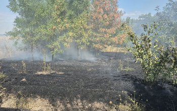 Pompierii au intervenit pentru localizarea …