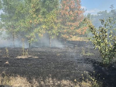 Pompierii au intervenit pentru localizarea …
