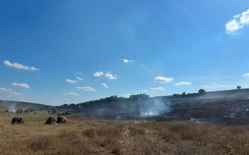 Incendiu de proporții izbucnit pe …