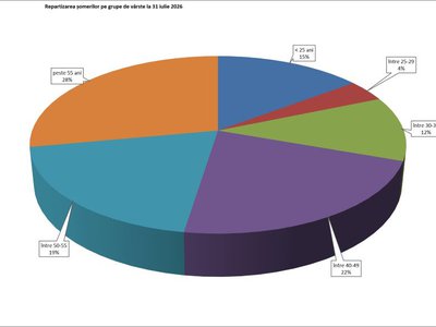 3,89% - rata șomajului înregistrat …