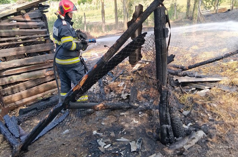 Patru incendii de vegetație uscată izbucnite în Ibănești, Coțușca, Flămânzi și Buimăceni