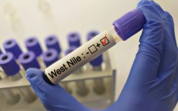 Numărul infecțiilor cu virusul West …
