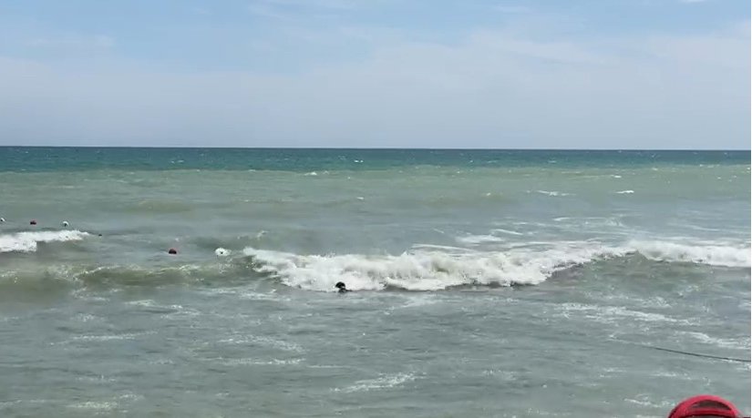 Tânărul de 22 de ani din Botoșani, găsit fără viață după 10 ore. A intrat în mare, într-o zonă fără salvamari, și a fost luat de valuri
