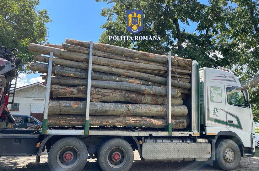 Bărbat sancționat cu amendă de 4.000 de lei pentru transport ilegal de lemne