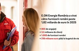 Raportul de sustenabilitate pentru anul …