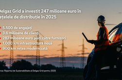 Delgaz Grid: Investiții de 247 …