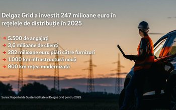 Delgaz Grid: Investiții de 247 …