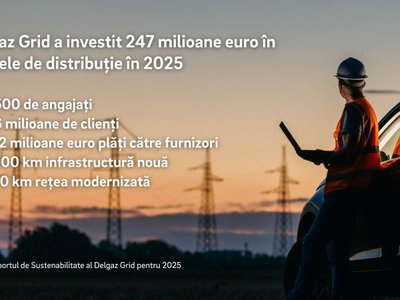 Delgaz Grid: Investiții de 247 …