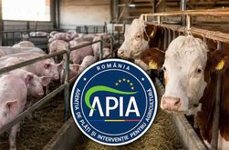 APIA: Atenție la termenul limită …
