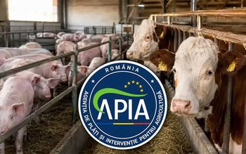 APIA: Atenție la termenul limită …