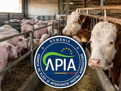APIA: Atenție la termenul limită …