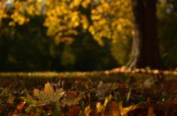 Ce se întâmplă cu temperaturile …