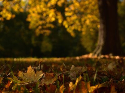 Ce se întâmplă cu temperaturile …