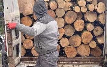 S-a ales cu o amendă …