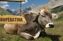 A fost adoptat proiectul care …