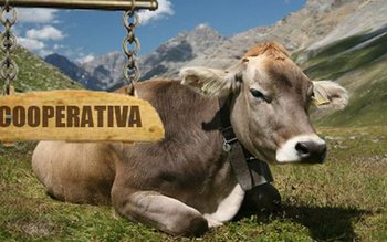 A fost adoptat proiectul care …