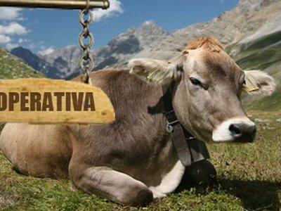 A fost adoptat proiectul care …