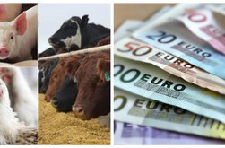 Modificări importante în ajutorul de …
