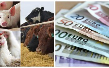 Modificări importante în ajutorul de …