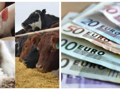 Modificări importante în ajutorul de …