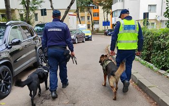 Acțiune a polițiștilor la Dorohoi …