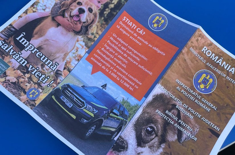 1 zi, 1 spital mobil, 115 animale sterilizate la Leorda