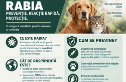 Ziua Mondială a Rabiei și …