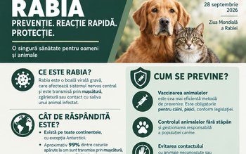 Ziua Mondială a Rabiei și …