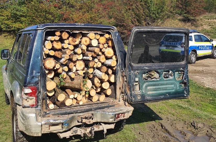 Peste 13 metri cubi de material lemnos confiscat de polițiști