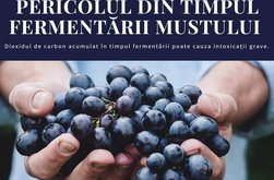 Atenție la vinul aflat în …