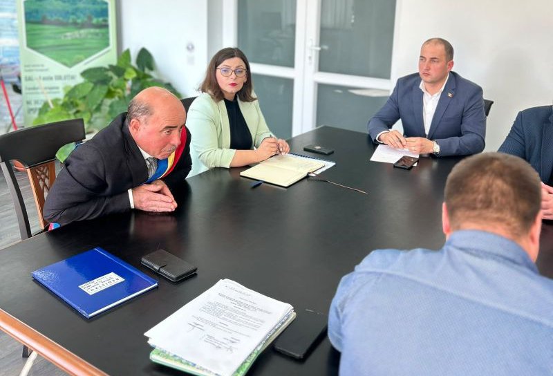 Au început demersurile pentru un aerodrom în județ, la Vlădeni