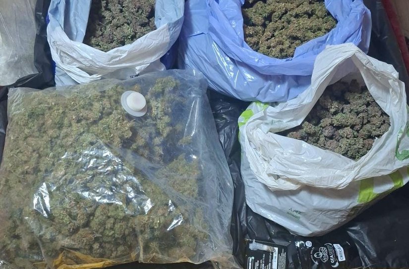 Flagrant în Botoșani: 2,8 kilograme de canabis ridicate dintr-un colet venit din Spania