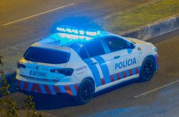 Trei muncitori români au fost …