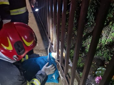 Misiune de salvare a pompierilor …
