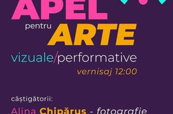 Rezultatele Apelului pentru Arte Vizuale …