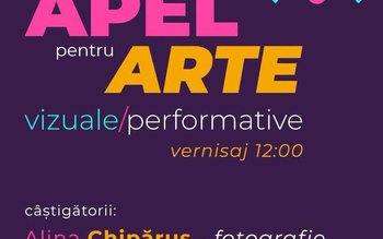Rezultatele Apelului pentru Arte Vizuale …