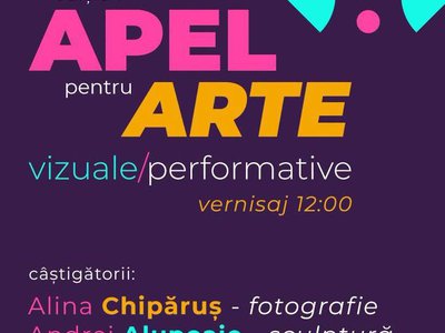Rezultatele Apelului pentru Arte Vizuale …