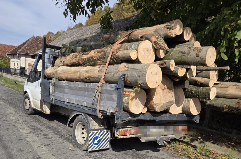 Amenzi de 7.000 de lei și 6 metri cubi de material lemnos confiscat