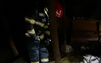 Cal salvat de pompieri după …