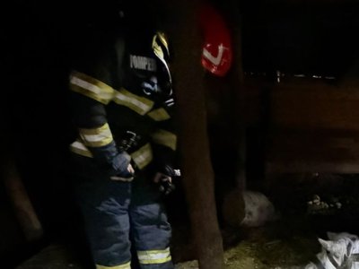 Cal salvat de pompieri după …