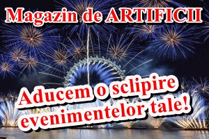 Artificii DH ZiareBotosani.ro